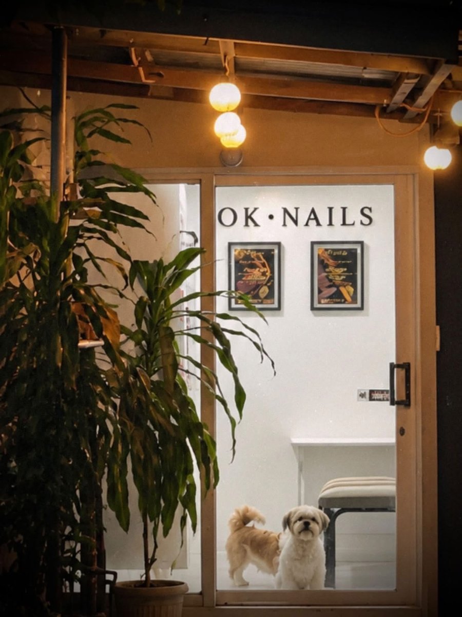 The Ok Nails studio entrance at night, with warm lights and two small dogs at the glass door